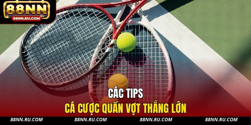 Các tips cá cược quần vợt thắng lớn
