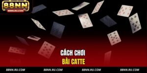 Cách Chơi Bài Catte 88NN - Bí Quyết Làm Chủ Từng Nước Đi