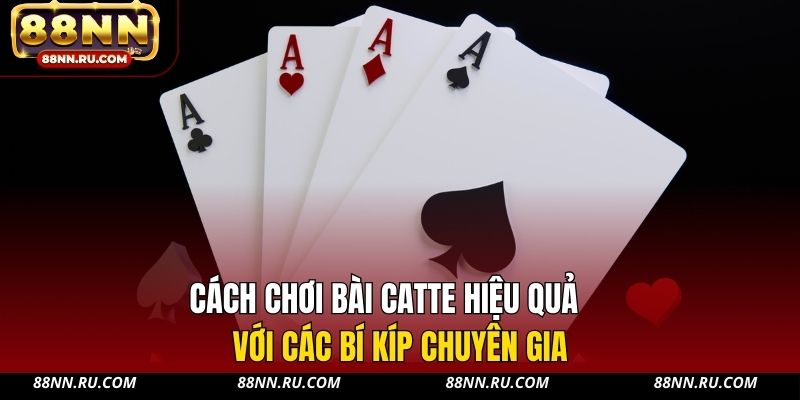 Cách chơi bài Catte hiệu quả với các bí kíp chuyên gia